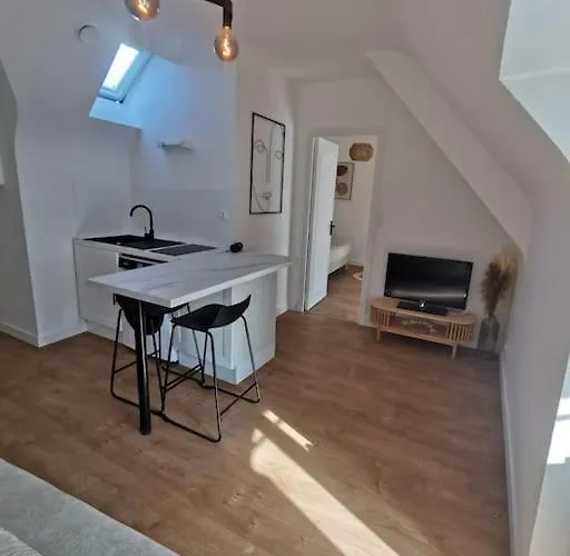 Le Charmant De Lourmel Appartement De 30M2 Au Calme